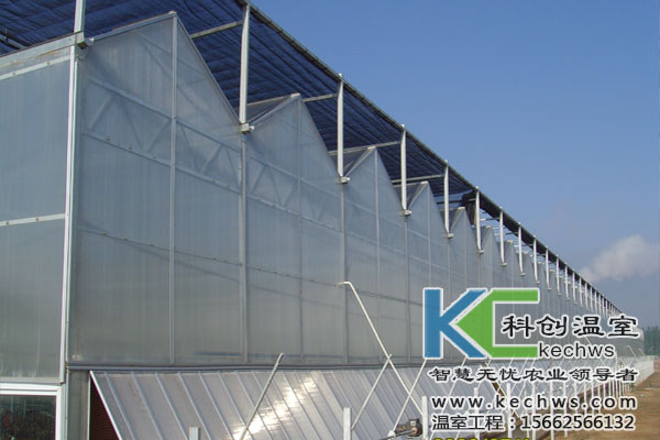 無土栽培，無土栽培技術(shù)，無土栽培設(shè)備