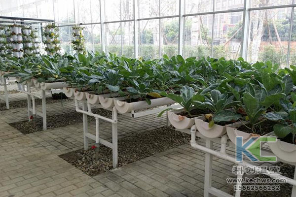 無(wú)土栽培，無(wú)土栽培技術(shù)，無(wú)土栽培設(shè)備