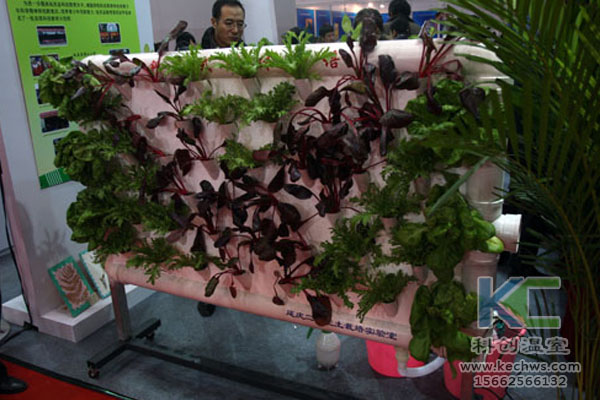 蔬菜大棚無(wú)土栽培，無(wú)土栽培技術(shù)，溫室大棚，大棚