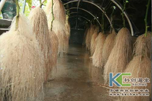 氣霧培,無(wú)土栽培,無(wú)土栽培技術(shù)