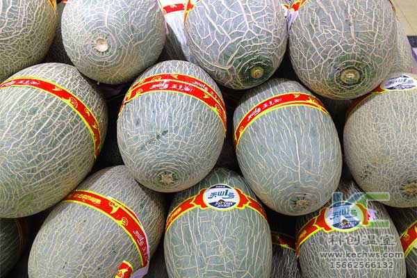 無土栽培，無土栽培技術(shù)，無土栽培設(shè)備