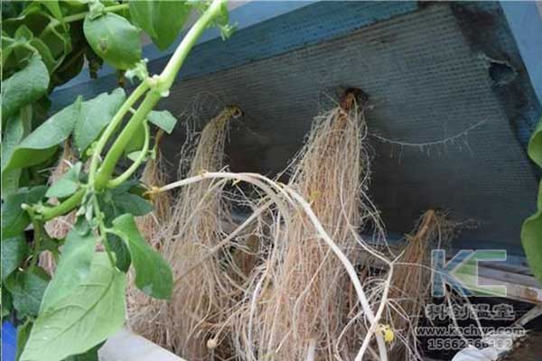 無(wú)土栽培，無(wú)土栽培技術(shù)，無(wú)土栽培設(shè)備
