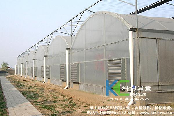 無土栽培，無土栽培技術(shù)，無土栽培設(shè)備