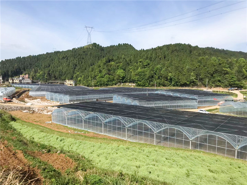 無土栽培，無土栽培技術(shù)，無土栽培設(shè)備