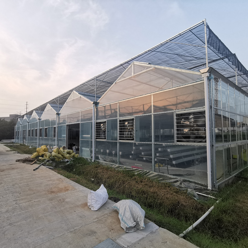 無土栽培，無土栽培技術(shù)，無土栽培設(shè)備