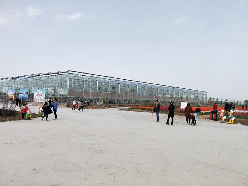 無土栽培，無土栽培技術(shù)，無土栽培設(shè)備