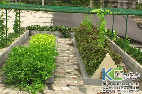 無土栽培，無土栽培技術(shù)，無土栽培設(shè)備