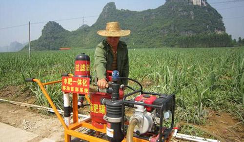 無(wú)土栽培，無(wú)土栽培技術(shù)，無(wú)土栽培設(shè)備