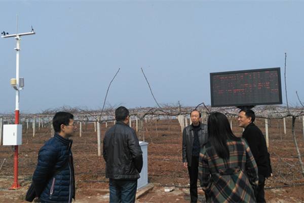 無土栽培，無土栽培技術，無土栽培設備
