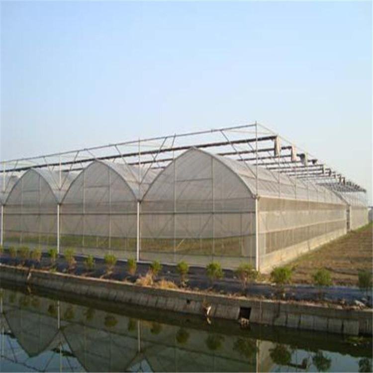 無土栽培，無土栽培技術(shù)，無土栽培設(shè)備