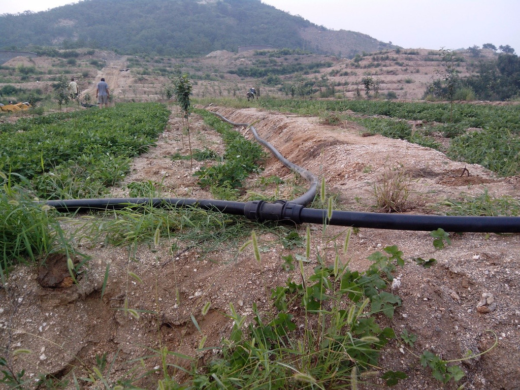 無土栽培，無土栽培技術(shù)，無土栽培設(shè)備